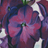 Purple Flowers Georgia Okeefe Diamond Painting