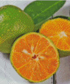 Rangpur Fruit Diamond Painting