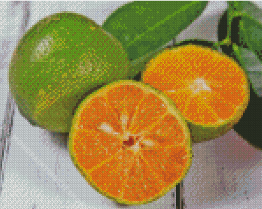 Rangpur Fruit Diamond Painting