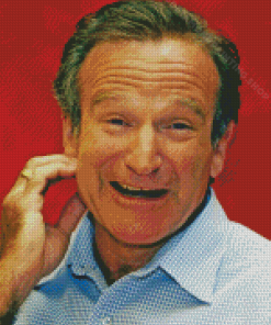 Robin Williams Diamond Painting