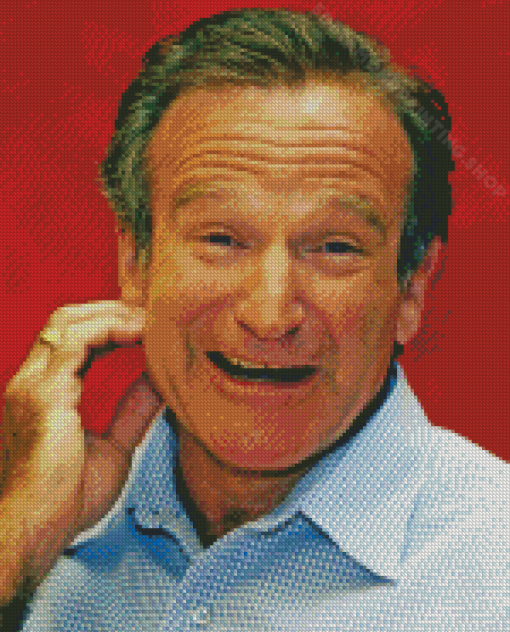 Robin Williams Diamond Painting