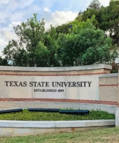 Texas State University Diamond Painting