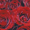 Water And Red Roses Diamond Painting