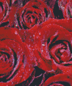 Water And Red Roses Diamond Painting