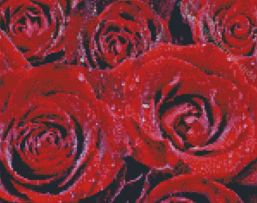 Water And Red Roses Diamond Painting