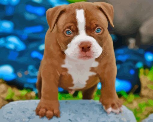 American Bully Puppy Diamond Painting