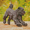 Black Bouvier Des Flandres Puppy Diamond Painting