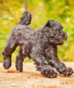 Black Bouvier Des Flandres Puppy Diamond Painting