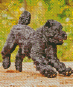 Black Bouvier Des Flandres Puppy Diamond Painting