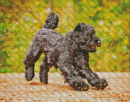 Black Bouvier Des Flandres Puppy Diamond Painting