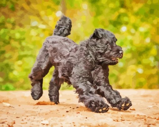 Black Bouvier Des Flandres Puppy Diamond Painting