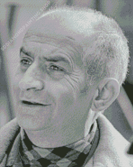 Black And White French Actor Louis De Funes Diamond Painting