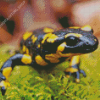 Black And Yellow Salamander Diamond Painting