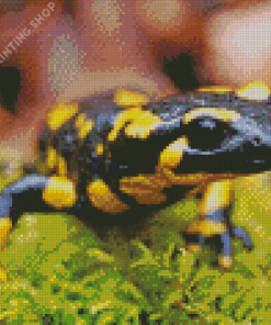 Black And Yellow Salamander Diamond Painting