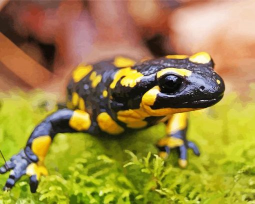 Black And Yellow Salamander Diamond Painting