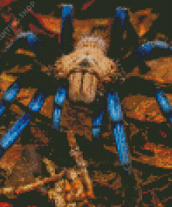 Blue And Brown Spider Diamond Painting