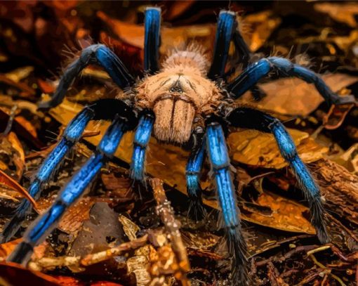 Blue And Brown Spider Diamond Painting