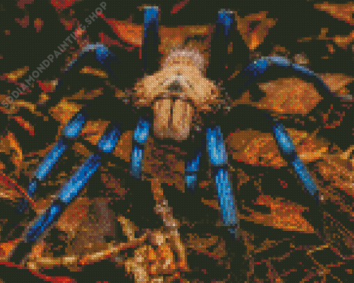 Blue And Brown Spider Diamond Painting