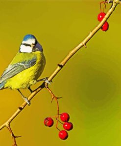 Blue Tit Bird Diamond Painting