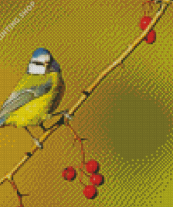 Blue Tit Bird Diamond Painting