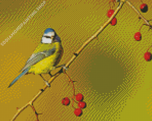 Blue Tit Bird Diamond Painting