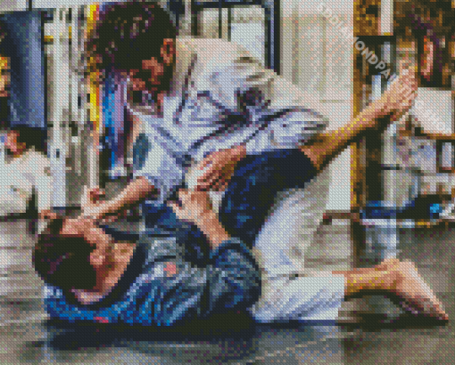 Brazilian Jiu Jitsu Diamond Painting