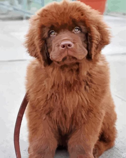 Brown Newfoundland Diamond Painting