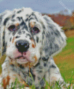 English Setter Puppy Diamond Painting