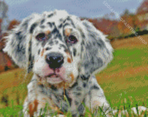 English Setter Puppy Diamond Painting