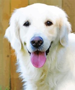 Cream Retriever Diamond Painting