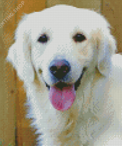 Cream Retriever Diamond Painting