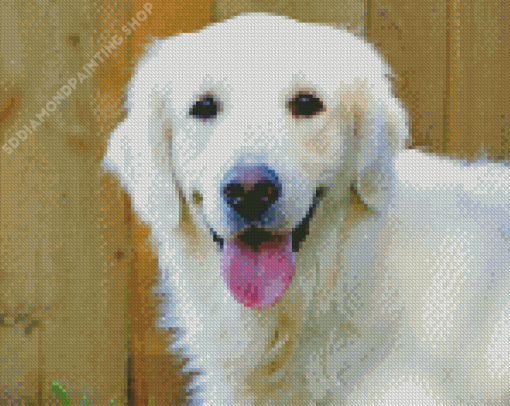 Cream Retriever Diamond Painting