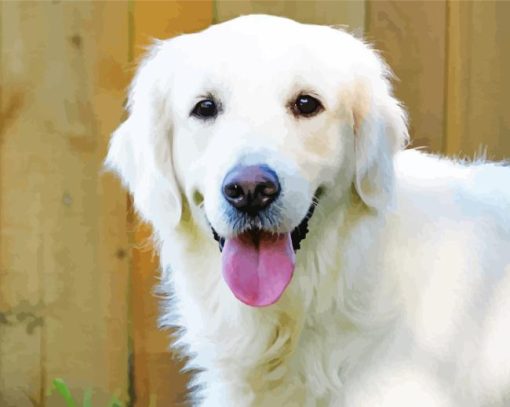 Cream Retriever Diamond Painting