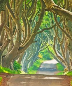 Dark Hedges Diamond Painting