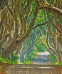 Dark Hedges Diamond Painting