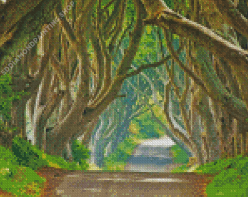 Dark Hedges Diamond Painting