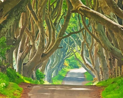 Dark Hedges Diamond Painting