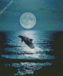 Dolphin At Night Diamond Painting