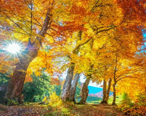 Golden Trees In Forest With Sun Light Diamond Painting