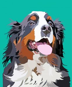 Bernese Mountain Dog Diamond Painting