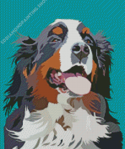 Bernese Mountain Dog Diamond Painting