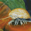 Isopod Art Diamond Painting