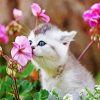 Kitten Smelling Flowers Diamond Painting