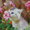 Kitten Smelling Flowers Diamond Painting