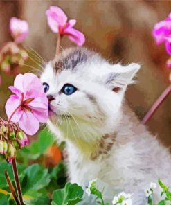 Kitten Smelling Flowers Diamond Painting