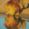 Lion Drinking Water Diamond Painting