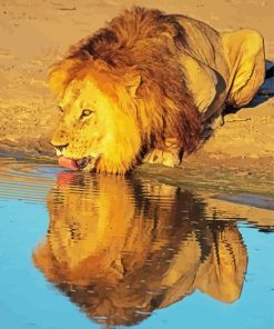 Lion Drinking Water Diamond Painting