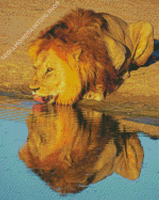 Lion Drinking Water Diamond Painting