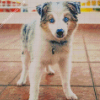 Mini Aussie Diamond Painting