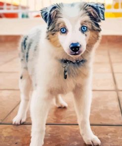 Mini Aussie Diamond Painting